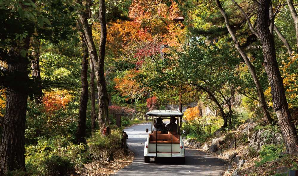 ������ �̹���