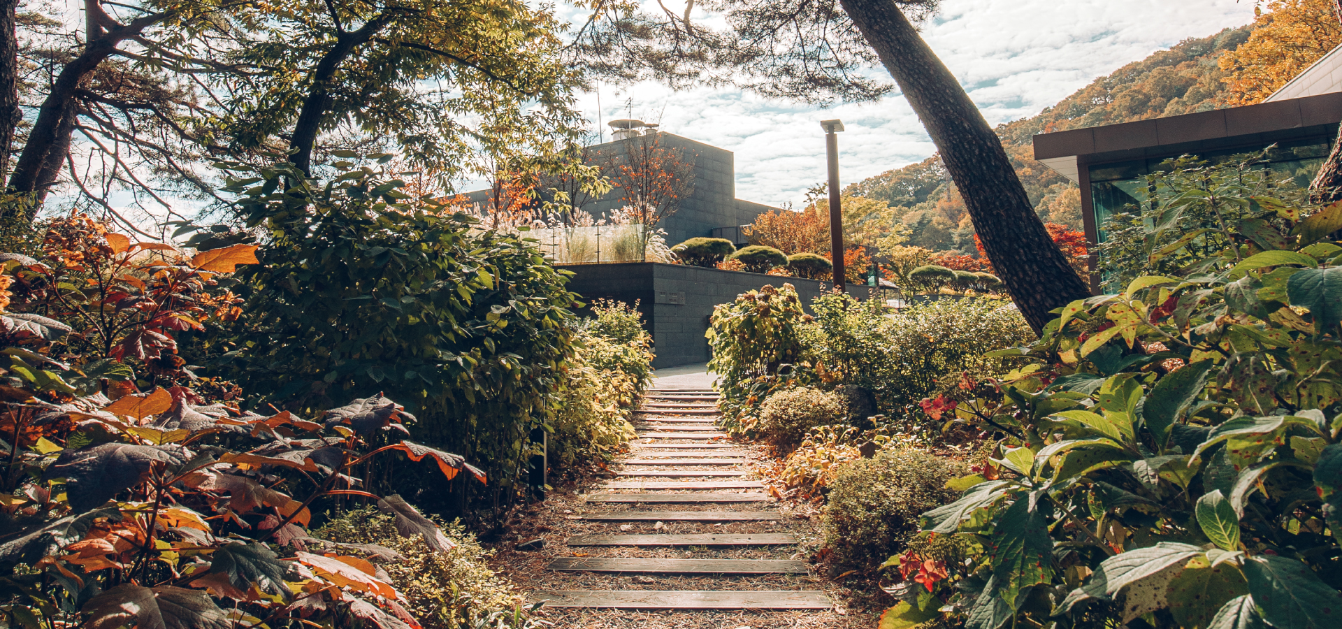 ������ ���彺 �� ��å����𽣡�