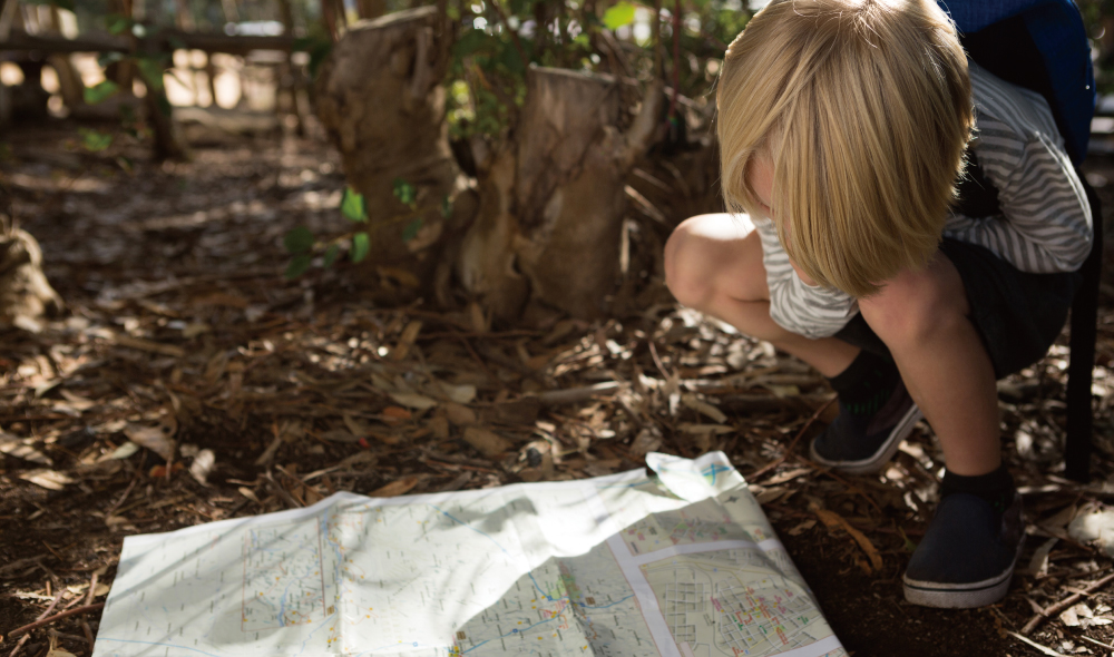 ������ �̹���