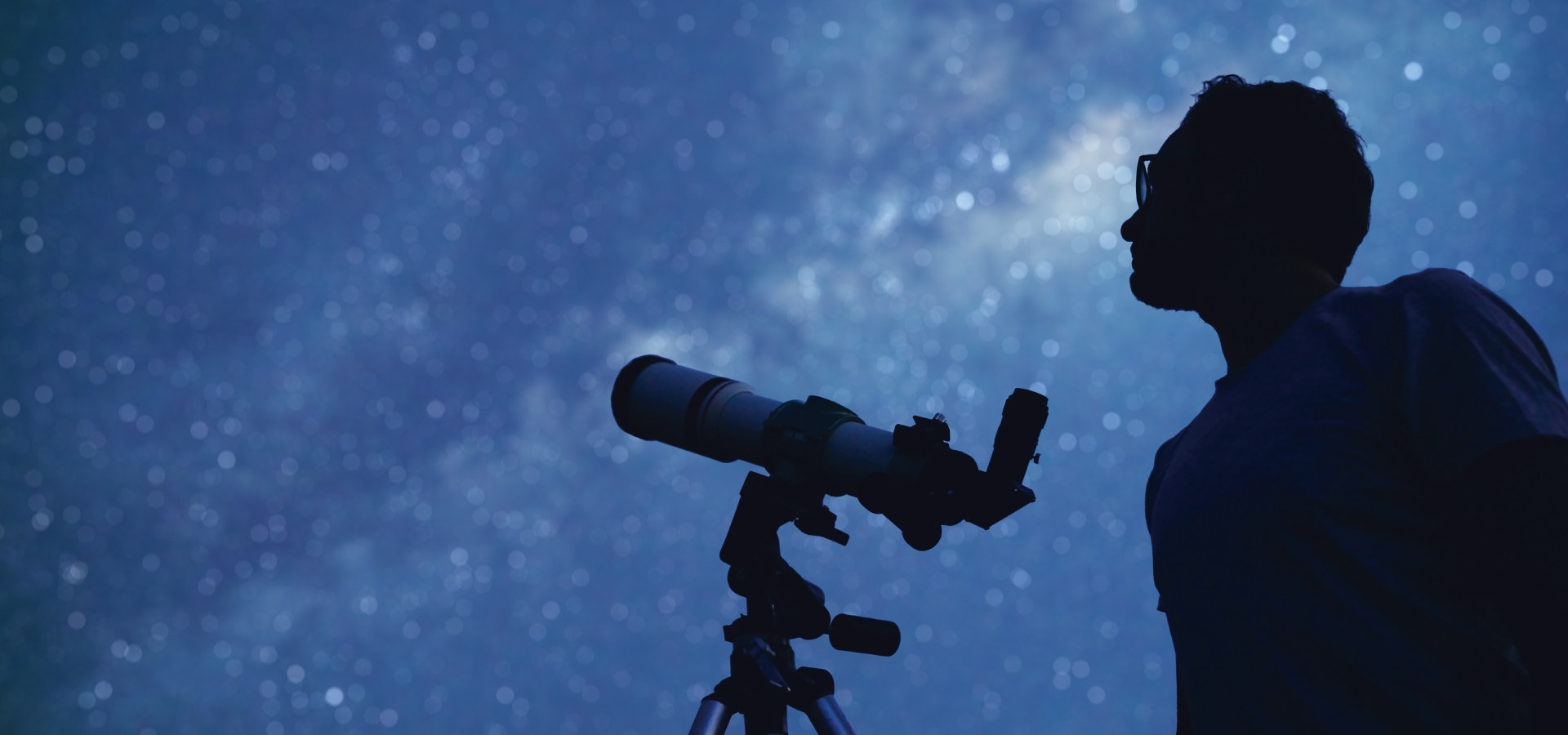 ���ڸ� ������Star Forest��