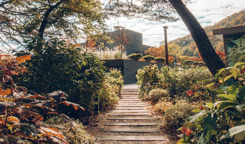 ������ �̹���